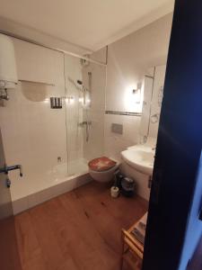 ein Bad mit einer Dusche, einem WC und einem Waschbecken in der Unterkunft Terrassenwohnung mit toller Aussicht & zentrumsnah in Hornberg