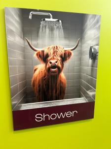 愛丁堡的住宿－Safestay Edinburgh Cowgate，浴缸里装有奶牛的淋浴标志