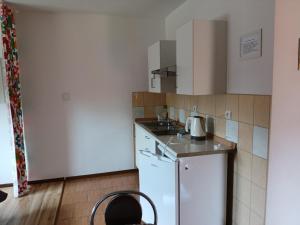 Kuchyň nebo kuchyňský kout v ubytování Apartamenty Jakob