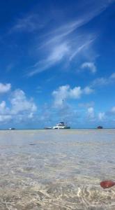 托舵道斯Paradisia Holidays Mauritius的相册照片 更多23张照片