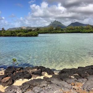 托舵道斯Paradisia Holidays Mauritius的相册照片