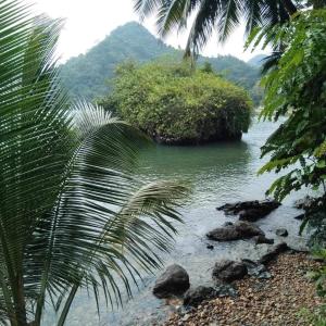 une rivière avec un palmier en face d'une montagne dans l'établissement Kingfisher- Principe, à Santo António