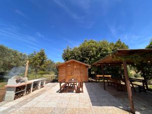 Fotografie z fotogalerie ubytování Casa RiVa - Among olive trees and the Tuscan coast v destinaci Vada