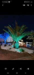 Una palmera se ilumina por la noche en Mignon petit appartement indépendant en Mérignac