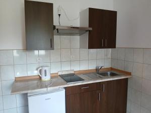 Kuchyň nebo kuchyňský kout v ubytování Apartamenty Jakob