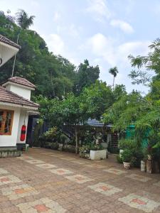 Zahrada ubytování CELESTIAL HOMESTAY