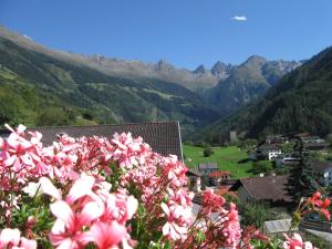 Paesaggio naturale nelle vicinanze dell'appartamento