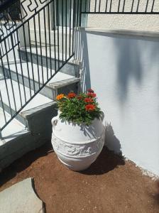 Balkón nebo terasa v ubytování Selene house