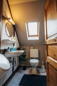 a bathroom with a toilet and a sink and a mirror at Gemütliche Ferienwohnung in Schneverdingen