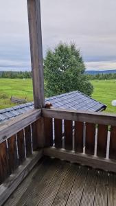 eine Katze sitzt auf dem Deck einer Veranda in der Unterkunft Family-friendly apartment for rent at Golsfjellet in Golsfjellet + 9 Fotos