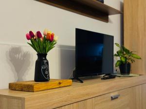 Televízia a/alebo spoločenská miestnosť v ubytovaní Holiday Home Manuela