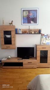 a living room with a tv and a wooden entertainment center at Apartamento centrico Luada in Vigo +12 photos