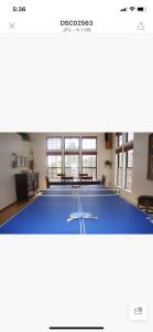 a blue ping pong court in a room at Ski+Golf+Fishing Flagstaff Kachina Cabin! in Mountainaire