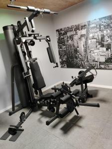 un gimnasio con 2 bicicletas estáticas en una habitación en Sweetwater Privé Wellness, en Oud-Heverlee