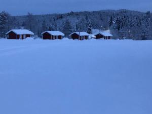 a group of huts in a field covered in snow at Rödvattnet cottages in Rödvattnet