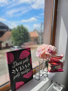 a window sill with a vase of flowers and a book at Family Vila Oravita in Oraviţa