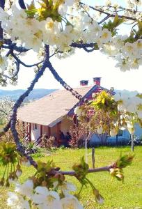 Gallery image of Kuća za odmor Zdravac in Kragujevac +39 photos