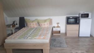 a bedroom with a bed and a tv in it at Privatzimmer in Burgau