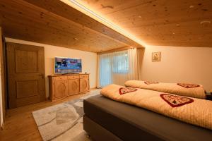 TV a/nebo společenská místnost v ubytování Ferienhaus Konrad