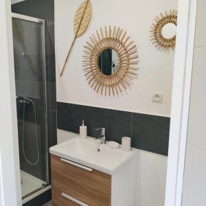 ein Bad mit einem Waschbecken, einer Dusche und einem Spiegel in der Unterkunft coté verdon 2 in Quinson