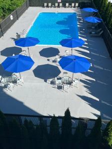 een uitzicht over een zwembad met blauwe parasols bij Comfort Inn & Suites Danbury-Bethel in Danbury