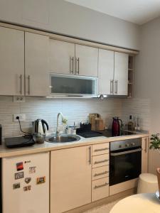 a kitchen with a sink and a microwave at Vila Bilja in Požega +6 photos
