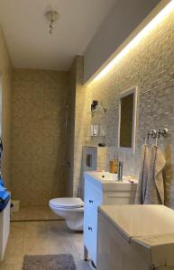 une salle de bain avec un lavabo, des toilettes et une douche dans l'établissement Vila Bilja, à Požega