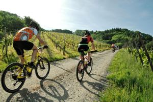 a group of people riding bikes down a dirt road at Ferienhaus mit Whirlpool und Sauna in Bernkastel-Kues
