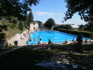 Bazén v ubytování Guest House Vila Frýdštejn nebo v jeho okolí