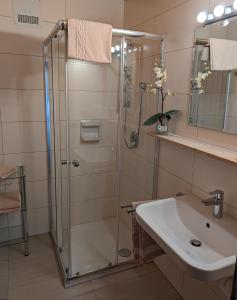 a bathroom with a shower and a sink at Appartementhaus Habich in Bad Kleinkirchheim +7 photos