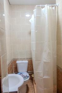 a bathroom with a toilet and a sink and a shower at Eagle's Nest in Karakol