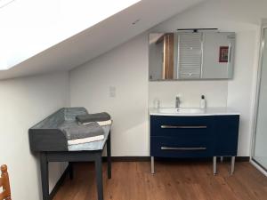 a bathroom with a sink and a counter with a table at Ferme du Peyronin in Heugas +14 photos