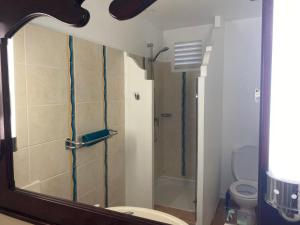 une salle de bain avec douche, toilettes et miroir dans l'établissement Studio vue mer RDC dans village vacances, à Sainte-Luce