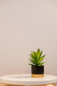 Fotografie z fotogalerie ubytování One House Pythagoreio v destinaci Pythagorion