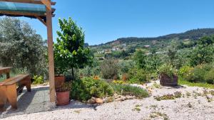 a garden with a bench and some plants at Quinta De Oliveiras in Beco