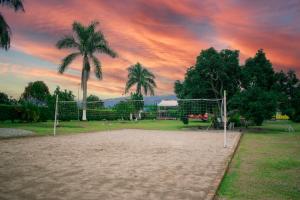 a volleyball court with palm trees in a park at Finca Hotel Palmas Del Edén in Armenia