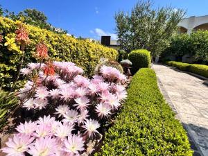 a bunch of pink flowers in a garden at B&B La Rosa Blu in Bari