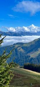 a view from the top of a mountain with clouds in a valley at Pension Mirabelle in Ellmau