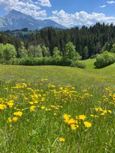 Loodusmaastik of the bed and breakfast lähedal