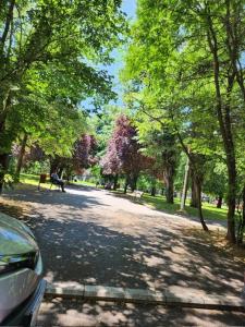 a road in a park with trees and a car at Exceptional Apartment - Gara de Nord in Bucharest