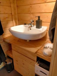 a bathroom with a sink in a wooden room at Sterrenzicht BB Weidszicht in Doezum