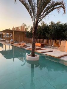Πισίνα στο ή κοντά στο Khroma Luxury Suite 4 beach front apartment
