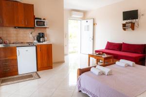 Η κουζίνα ή μικρή κουζίνα στο Apartments Vasileiou Suite 3 +10 φωτογραφίες