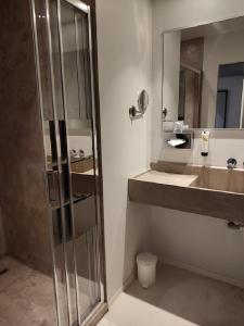 La salle de bains est pourvue d'une douche, d'un lavabo et d'un miroir. dans l'établissement Logis Hôtel Les Pages, à Lunéville