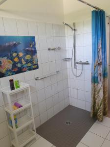 a bathroom with a shower with a painting on the wall at Ferienwohnung Erika in Bad Zwischenahn +14 photos