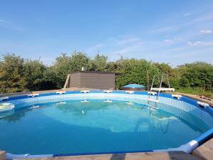 a large swimming pool in a yard at Apartamentai su dziakuzi in Klaipėda