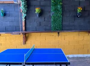 una mesa de ping pong azul frente a una pared de ladrillo en Kuća za proslave i odmor ZMAJEVO GNEZDO, en Pe°ani