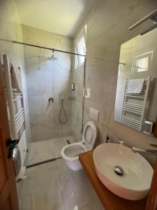 ein Bad mit einer Dusche, einem WC und einem Waschbecken in der Unterkunft Oda N'Bjeshke in Valbonë