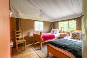 1 dormitorio con 2 camas en una tienda de campaña en Kite - Exton Park, 