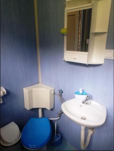niebieska łazienka z toaletą i umywalką w obiekcie ВИЛА ПЕРИКА-Vila PERIKA w mieście Borino